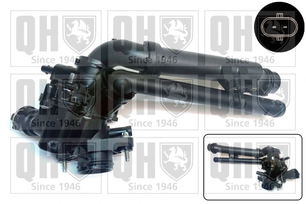 Thermostat, coolant